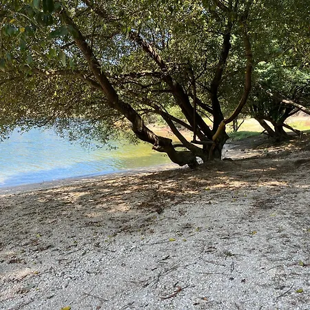 Casa De Casarelhos - Vistas Rio - 